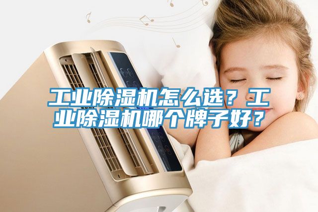 工業(yè)除濕機(jī)怎么選？工業(yè)除濕機(jī)哪個(gè)牌子好？