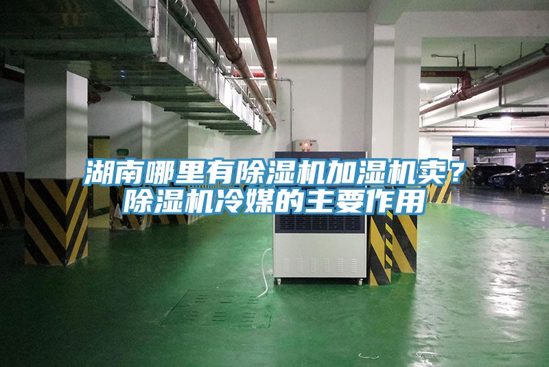 湖南哪里有除濕機(jī)加濕機(jī)賣？除濕機(jī)冷媒的主要作用