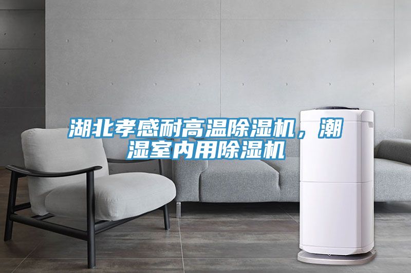 湖北孝感耐高溫除濕機(jī)，潮濕室內(nèi)用除濕機(jī)