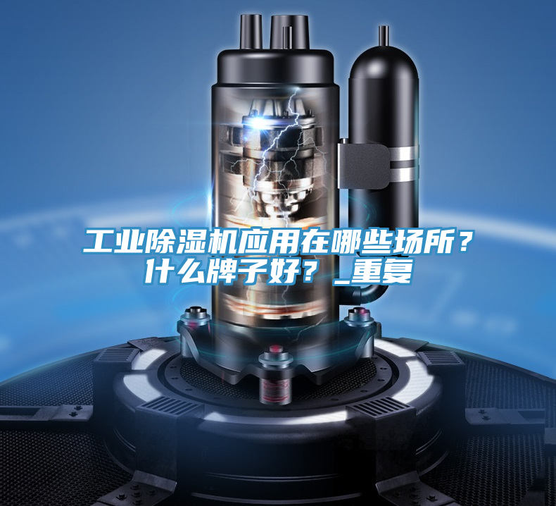 工業(yè)除濕機(jī)應(yīng)用在哪些場(chǎng)所？什么牌子好？_重復(fù)