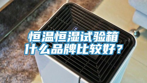 恒溫恒濕試驗(yàn)箱什么品牌比較好？