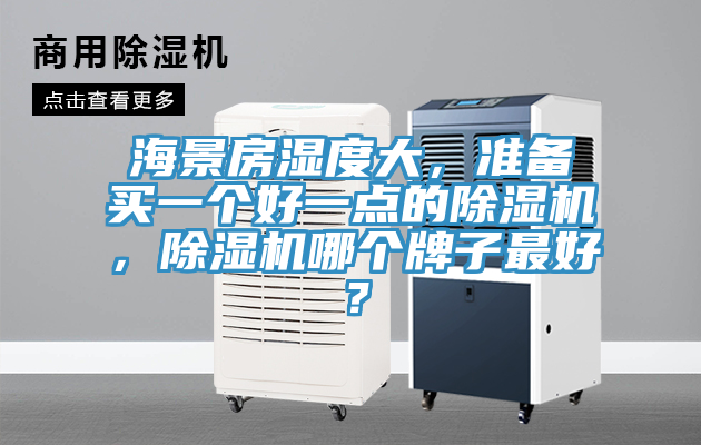 海景房濕度大，準(zhǔn)備買一個(gè)好一點(diǎn)的除濕機(jī)，除濕機(jī)哪個(gè)牌子最好？