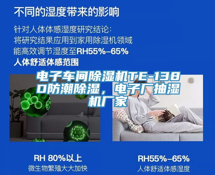 電子車間除濕機TE-138D防潮除濕，電子廠抽濕機廠家