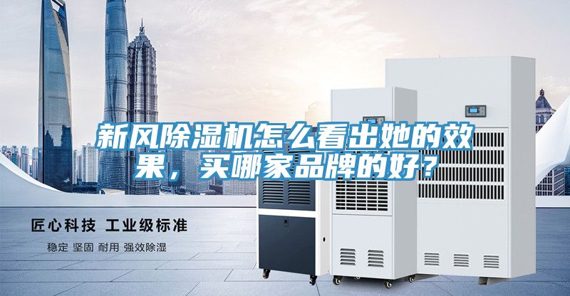 新風(fēng)除濕機(jī)怎么看出她的效果，買哪家品牌的好？