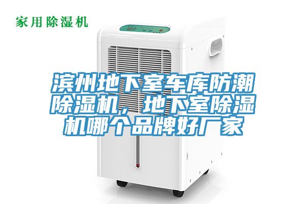 濱州地下室車庫防潮除濕機(jī)，地下室除濕機(jī)哪個(gè)品牌好廠家