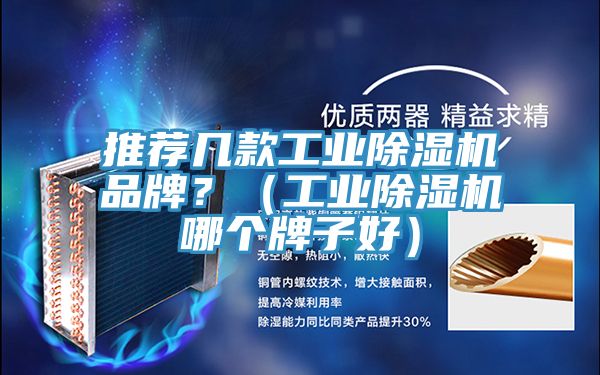 推薦幾款工業(yè)除濕機(jī)品牌？（工業(yè)除濕機(jī)哪個(gè)牌子好）
