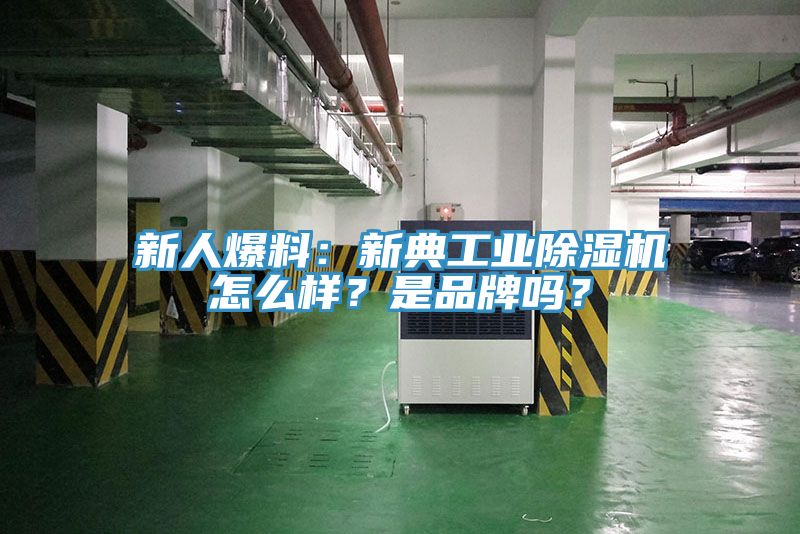 新人爆料：新典工業(yè)除濕機怎么樣？是品牌嗎？