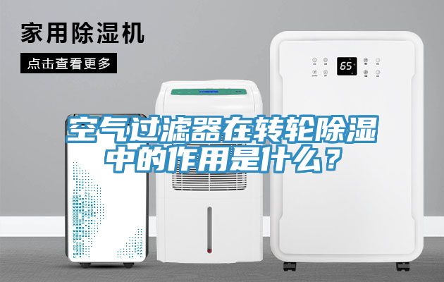 空氣過濾器在轉(zhuǎn)輪除濕中的作用是什么？