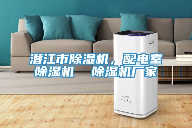 潛江市除濕機(jī)，配電室除濕機(jī)  除濕機(jī)廠家