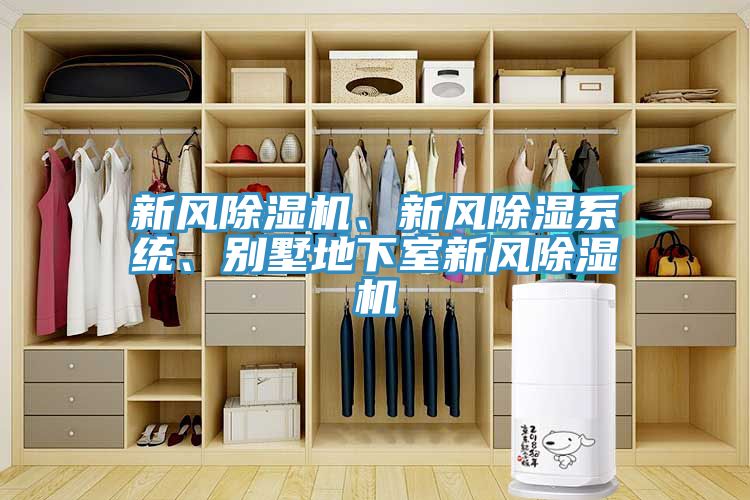 新風除濕機、新風除濕系統(tǒng)、別墅地下室新風除濕機