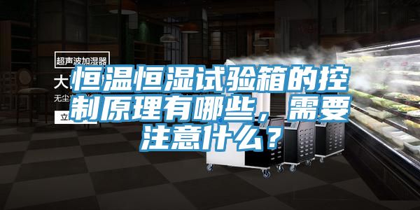 恒溫恒濕試驗箱的控制原理有哪些，需要注意什么？