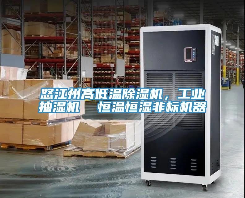怒江州高低溫除濕機(jī)，工業(yè)抽濕機(jī)  恒溫恒濕非標(biāo)機(jī)器