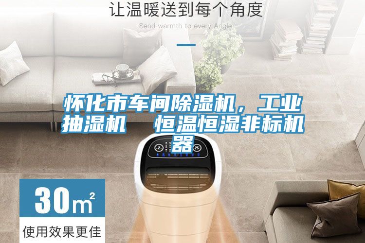 懷化市車間除濕機，工業(yè)抽濕機  恒溫恒濕非標機器
