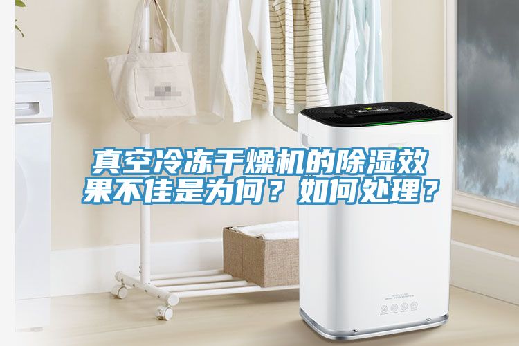 真空冷凍干燥機的除濕效果不佳是為何？如何處理？