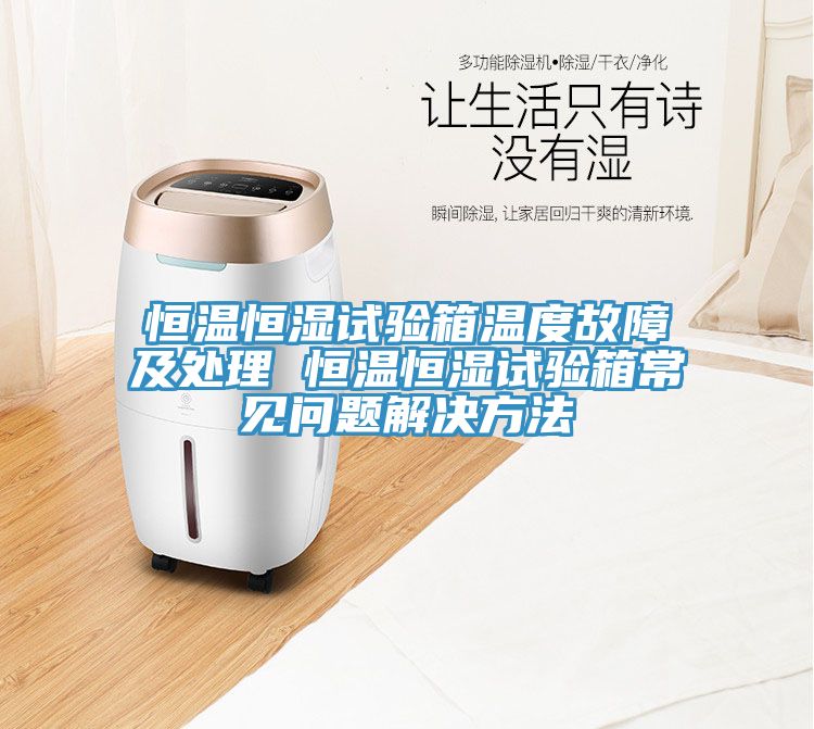 恒溫恒濕試驗(yàn)箱溫度故障及處理 恒溫恒濕試驗(yàn)箱常見問(wèn)題解決方法
