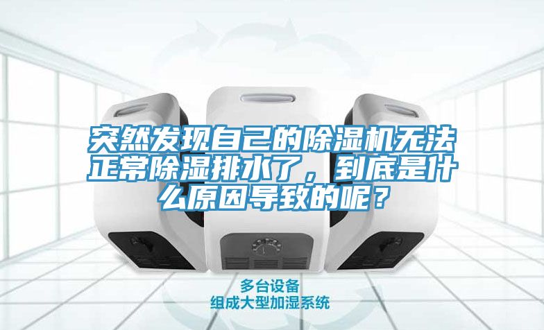 突然發(fā)現(xiàn)自己的除濕機(jī)無(wú)法正常除濕排水了，到底是什么原因?qū)е碌哪兀?></div>
								<div   id=