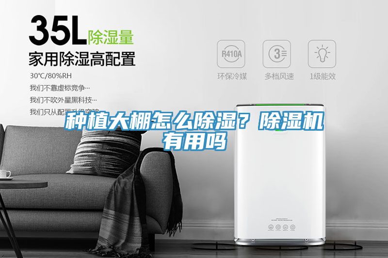 種植大棚怎么除濕？除濕機有用嗎