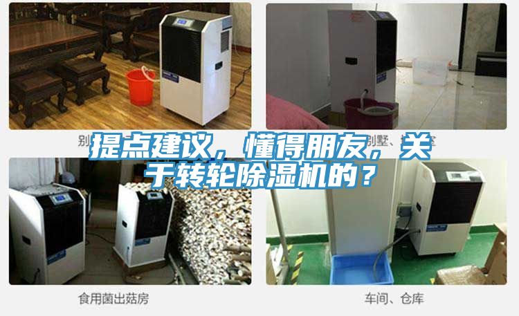 提點(diǎn)建議，懂得朋友，關(guān)于轉(zhuǎn)輪除濕機(jī)的？