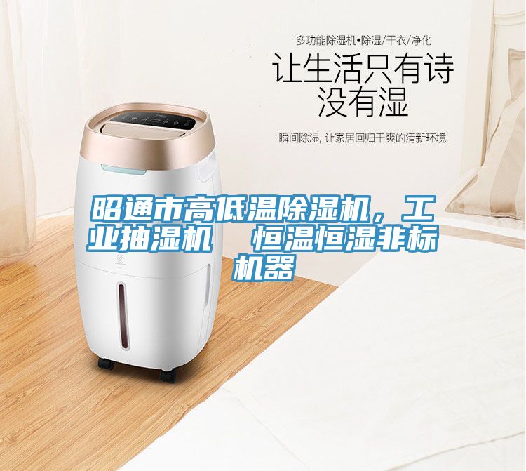 昭通市高低溫除濕機，工業(yè)抽濕機  恒溫恒濕非標機器