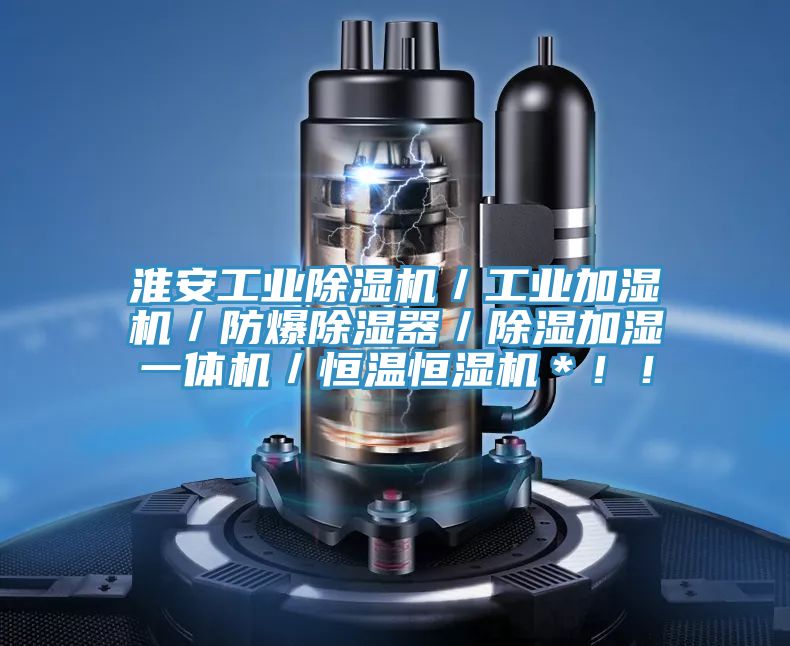 淮安工業(yè)除濕機(jī)／工業(yè)加濕機(jī)／防爆除濕器／除濕加濕一體機(jī)／恒溫恒濕機(jī)＊?。?></div>
								<div   id=