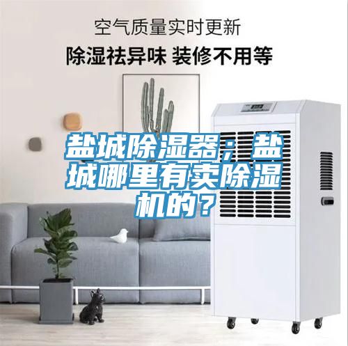 鹽城除濕器；鹽城哪里有賣除濕機的？