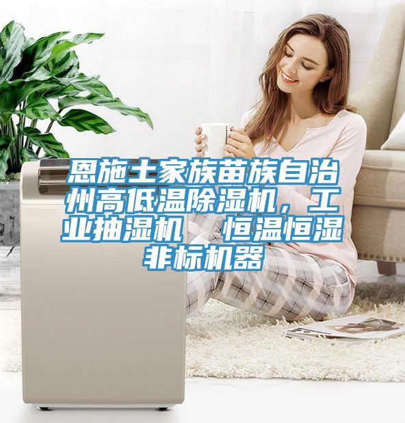 恩施土家族苗族自治州高低溫除濕機(jī)，工業(yè)抽濕機(jī)  恒溫恒濕非標(biāo)機(jī)器
