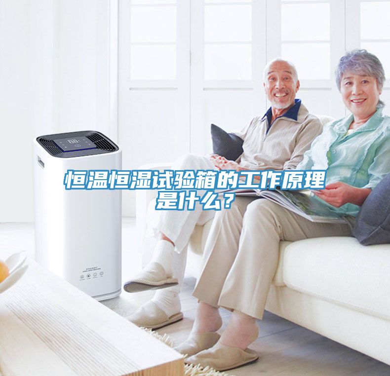 恒溫恒濕試驗箱的工作原理是什么？