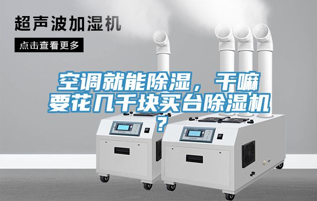 空調(diào)就能除濕，干嘛要花幾千塊買臺除濕機(jī)？