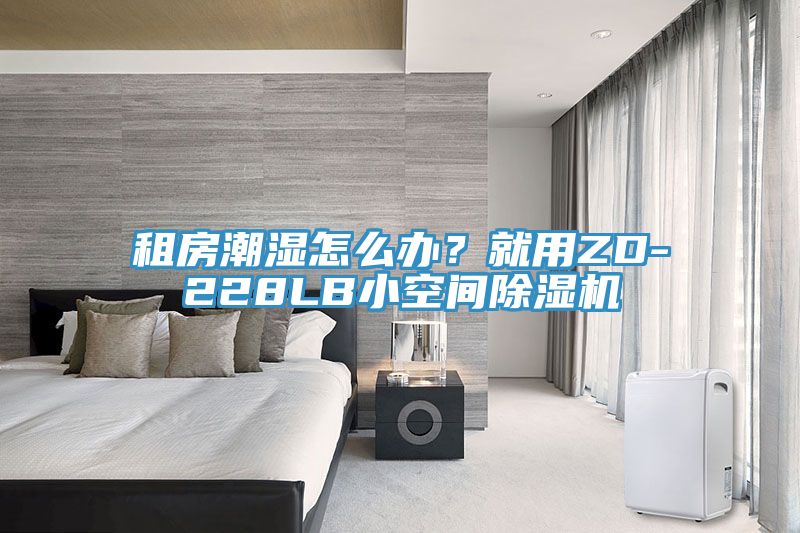 租房潮濕怎么辦？就用ZD-228LB小空間除濕機