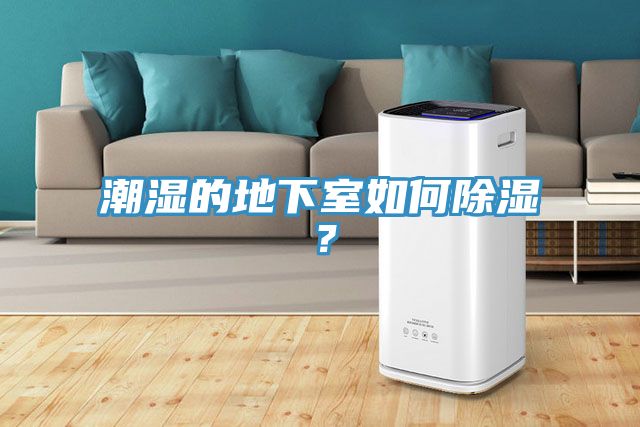 潮濕的地下室如何除濕？