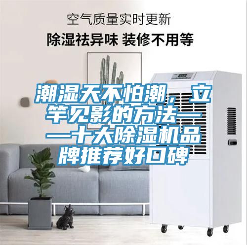 潮濕天不怕潮，立竿見影的方法——十大除濕機(jī)品牌推薦好口碑