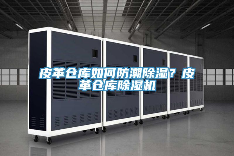 皮革倉(cāng)庫(kù)如何防潮除濕？皮革倉(cāng)庫(kù)除濕機(jī)