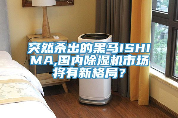 突然殺出的黑馬ISHIMA,國(guó)內(nèi)除濕機(jī)市場(chǎng)將有新格局？
