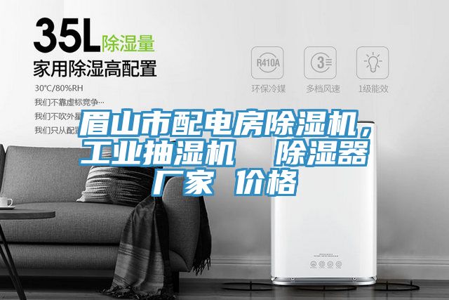 眉山市配電房除濕機(jī)，工業(yè)抽濕機(jī)  除濕器廠家 價(jià)格
