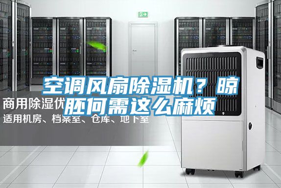 空調(diào)風(fēng)扇除濕機(jī)？晾胚何需這么麻煩