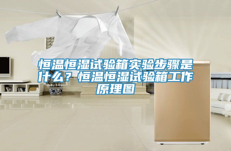 恒溫恒濕試驗箱實驗步驟是什么？恒溫恒濕試驗箱工作原理圖