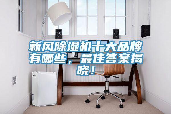 新風除濕機十大品牌有哪些，最佳答案揭曉！