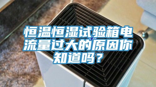 恒溫恒濕試驗(yàn)箱電流量過大的原因你知道嗎？