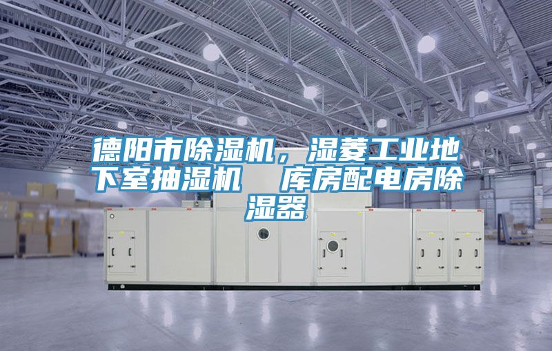 德陽市除濕機(jī)，濕菱工業(yè)地下室抽濕機(jī)  庫房配電房除濕器