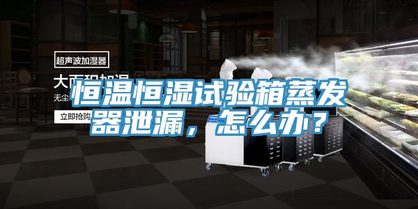 恒溫恒濕試驗箱蒸發(fā)器泄漏，怎么辦？