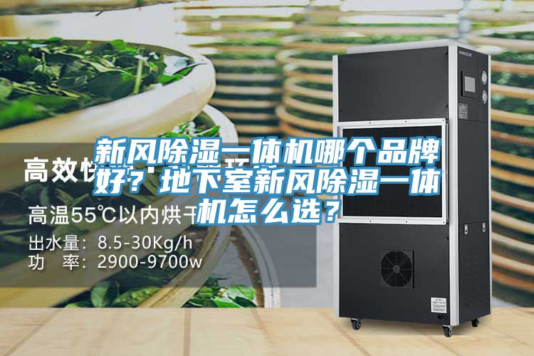 新風(fēng)除濕一體機(jī)哪個(gè)品牌好？地下室新風(fēng)除濕一體機(jī)怎么選？