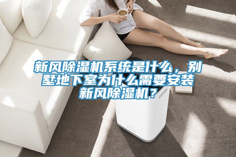 新風(fēng)除濕機系統(tǒng)是什么，別墅地下室為什么需要安裝新風(fēng)除濕機？