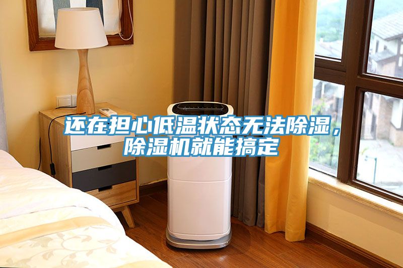 還在擔(dān)心低溫狀態(tài)無法除濕，除濕機(jī)就能搞定