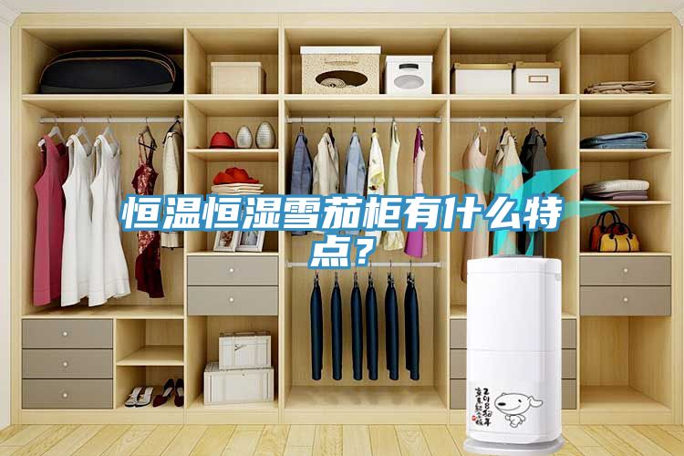 恒溫恒濕雪茄柜有什么特點(diǎn)？