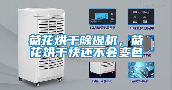 菊花烘干除濕機(jī)，菊花烘干快還不會(huì)變色