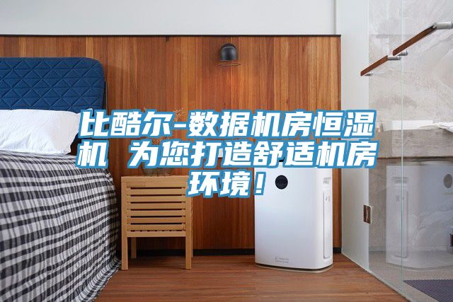比酷爾-數(shù)據(jù)機房恒濕機 為您打造舒適機房環(huán)境！