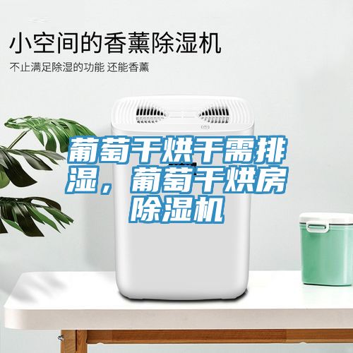 葡萄干烘干需排濕，葡萄干烘房除濕機(jī)