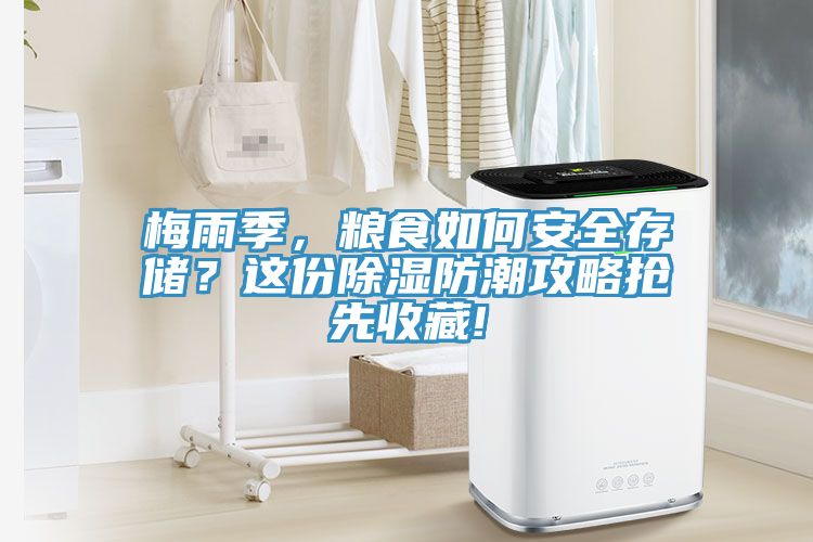 梅雨季，糧食如何安全存儲？這份除濕防潮攻略搶先收藏!