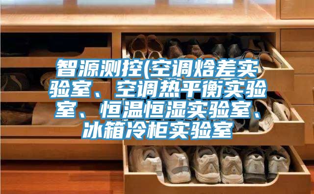 智源測控(空調(diào)焓差實驗室、空調(diào)熱平衡實驗室、恒溫恒濕實驗室、冰箱冷柜實驗室