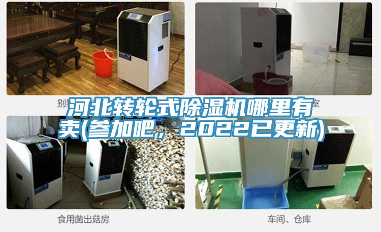 河北轉(zhuǎn)輪式除濕機哪里有賣(參加吧，2022已更新)